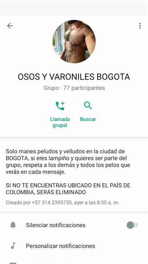 Grupos de Whatsapp en Bogotá gays 25